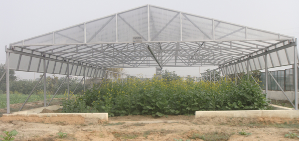 Rainout shelter, that have rain-sensing, automatic retractable roofs