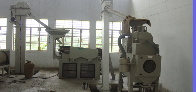 Fully automatic seed processing for producing quality seed of crops for the farmers.